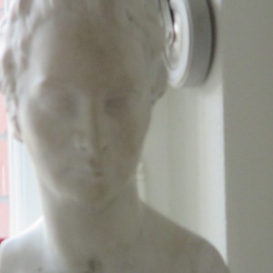 Profilbild von Swantje Rosenboom