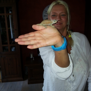 Profilbild von Sylke Huerster