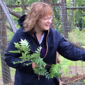 Profilbild von Tanja Sauerwein