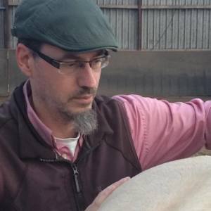 Profilbild von Thies Böttcher