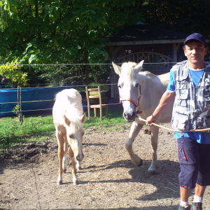 Profilbild von Thomas Grimm