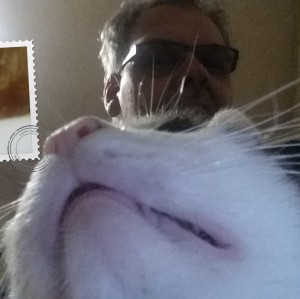 Profilbild von Thomas Heller