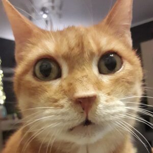Profilbild von Thomas Kroll