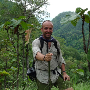 Profilbild von Thomas Liedgens
