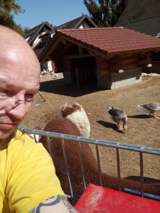 Profilbild von Thomas Rothe