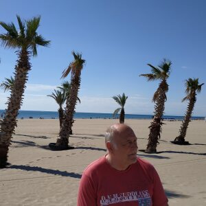 Profilbild von Thomas Wolf