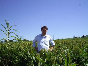 Profilbild von Tilman Hauff