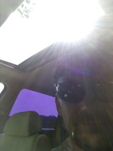 Profilbild von Tino Weber