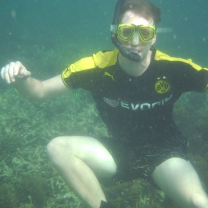 Profilbild von Tobias Heitmann