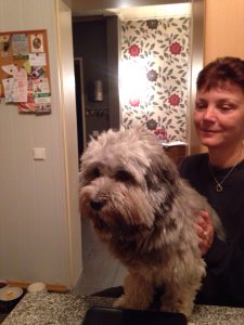 Profilbild von Ulla Dappers