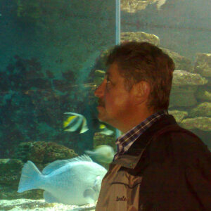 Profilbild von Ulrich Ebeling
