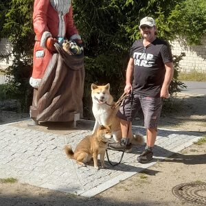 Profilbild von Ulrich Meißner