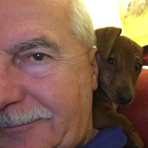 Profilbild von Ulrich von Hoesslin