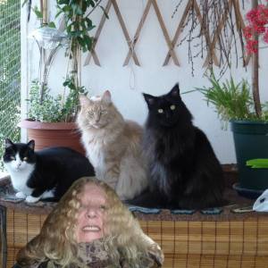 Profilbild von Ulrike Bartens