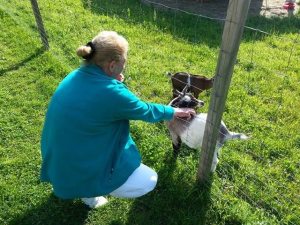 Profilbild von Ulrike Loch