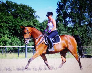 Profilbild von Ulrike Niehaus