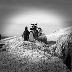 Profilbild von Ute Hofmann