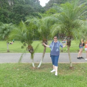 Profilbild von Ute Lauersdorf