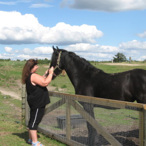 Profilbild von Ute Ohlsen