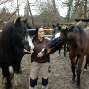 Profilbild von Ute Reck