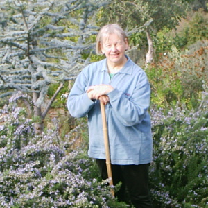 Profilbild von Ute Svejcar