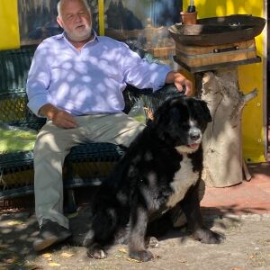 Profilbild von Uwe Hartmann