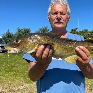 Profilbild von Uwe Herrmann