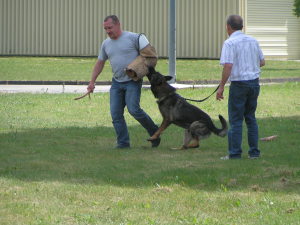 Profilbild von Uwe Meyer