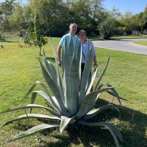 Profilbild von Uwe Piesiur