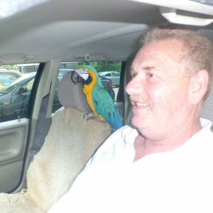 Profilbild von Uwe Schneider