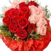 Profilbild von Uwe Schulze