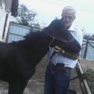 Profilbild von Uwe Senkbeil