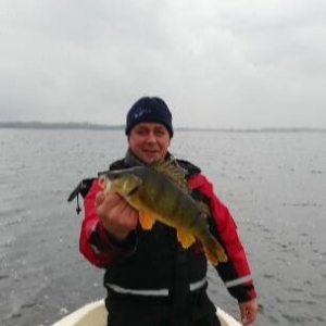 Profilbild von Uwe Weissflog
