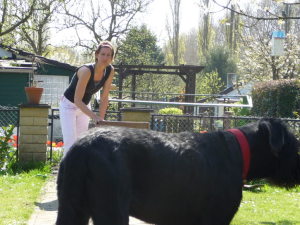 Profilbild von Vera Evers