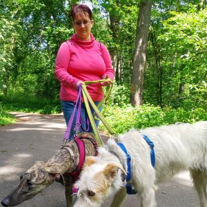 Profilbild von Verena Gierhardt