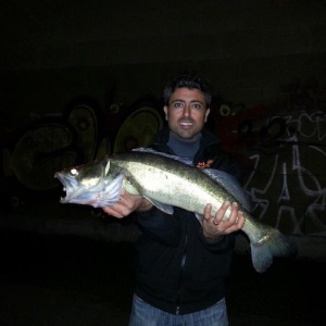 Profilbild von Volkan Pinar