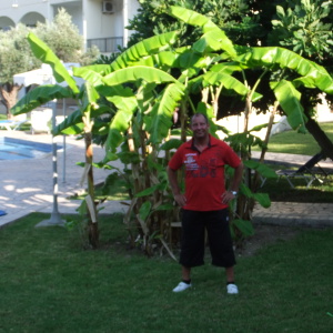 Profilbild von Volkard Otto