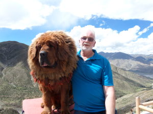 Profilbild von Volker Berthold