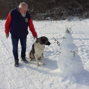 Profilbild von Volker Mothes