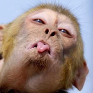 Profilbild von Volker Specht