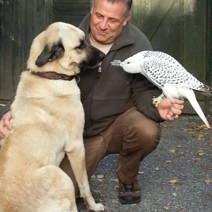 Profilbild von Walter Reinhart