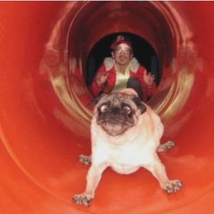 Profilbild von Walther Schmidt