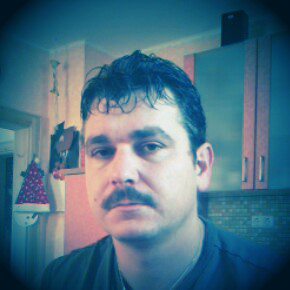 Profilbild von Werner Forster