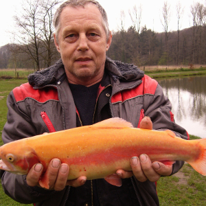 Profilbild von Werner Kröter