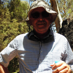 Profilbild von Werner Sommerfeld