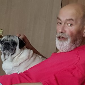 Profilbild von Wilfried Denk