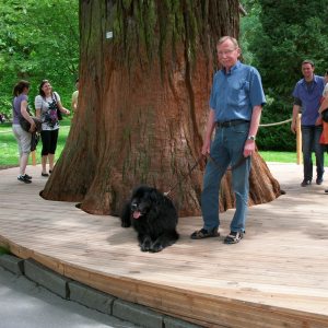 Profilbild von Wilfried Franke