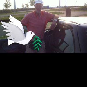 Profilbild von Wilfried Groth