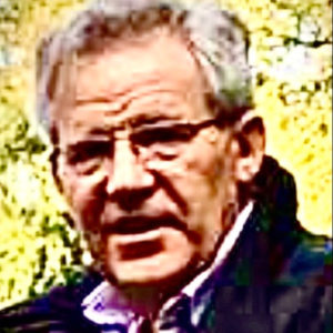 Profilbild von Wilhelm Haiser