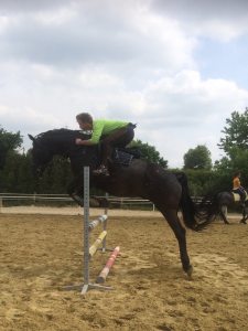 Profilbild von Wilhelm Stefen